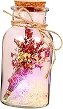 GOOHOCHY Transparent Wishing Bottle with Cork Stopper Glass Vial for Wedding Favors Home Decor Crafts Adorable Bottle for Messages and Wishes