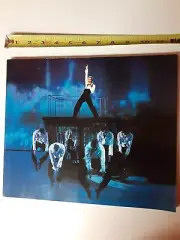 Celine Dion A New Day Colosseum Caesar Live Photo Tour Program Book
