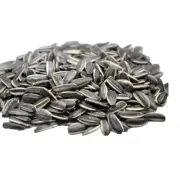 Al Rayhan High Quality Sunflower Seeds Salted, Unsalted Salt, Roasted بزر شمس