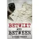 Betwixt and Between