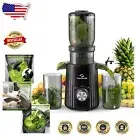High Yield Masticating Juicer with Large 4.25" Chute for Whole Fruits & Veggies