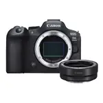 CANON EOS R6 MARK II 單機身 +EF-EOS R 轉接環(公司貨)