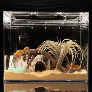 爬寵盒爬蟲雨林缸保溫箱守宮蜥蜴角蛙寄居蟹玻璃飼養缸