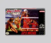 DIG & SPIKE VOLLEYBALL / SNES - 2"x3" FRIDGE MAGNET (retro super nintendo