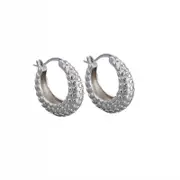 ANYCO Hoop Fashion Earrings Punk French Statement Huggies Women Hip Hop Charming Party Jewelry Sterling Silver