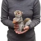 HANSA Eastern Grey Squirrel BH4841 21 Plush doll New from JAPAN