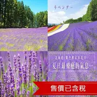 在飛比找森森購物網優惠-暑假~北海道洞爺湖花火.小樽積丹半島.美瑛青池.企鵝遊行.富