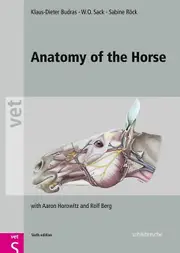 Anatomy Of The Horse by Berg & Rolf Ross University & St. Kitts & West Indies Paperback Book