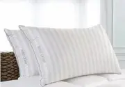 (S2) Hotel Grand 2 Pack Feather Down Pillow Softy Around Pillow Standard Queen