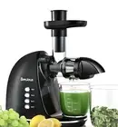 Slow Masticating Juicer Brecious Cold Press With 2 Speed Modes Black