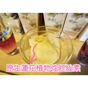 九品蓮花植物性胚胎素護膚霜 ／乳霜／乳液（附挖棒）＜台灣製造＞