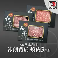 在飛比找鮮拾優惠-【洋希國際】A5日本和牛 沙朗背肩 燒肉3件組