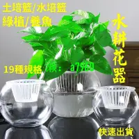 在飛比找露天拍賣優惠-【可開發票】水耕瓶 水耕盆 水耕盆栽 水培花盆 水耕花器 創