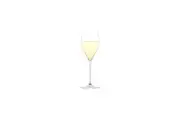 Plumm Everyday Sparking(12pk)
