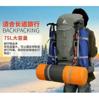 在飛比找Yahoo!奇摩拍賣優惠-營75L登山包 大容量防水雙肩包 徒步旅行包贈防雨罩-寶藏包