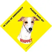 In Case of Emergency Please Save My Whippet or Whippets (plural) Sign, CHOOSE