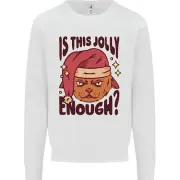 Christmas Cat Is This Jolly Enough Funny Kids Sweatshirt Jumper