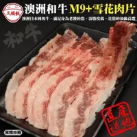 在飛比找ETMall東森購物網優惠-頌肉肉-澳洲日本種M9+熟成雪花牛肉片1盒(約100g/盒)