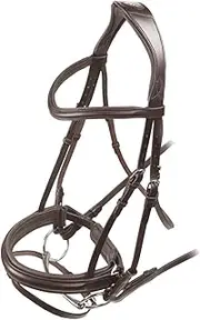 Velociti Raised Flash Leather Horse Bridle (UK Size: X Full) (Havana)