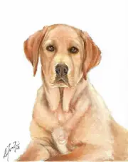 ✿ ORIGINAL Oil Portrait Painting LABRADOR RETRIEVER Signed Dog Art YELLOW LAB