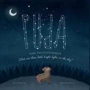 Puda, the little Puddeer: What are those little bright lights in the sky? by Viv