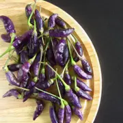 Chilli - Explosive Ember seeds