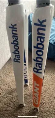 Rabobank Giant TCR Carbon Forks - NEW ORIGINAL OEM