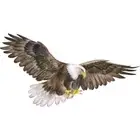 Vinyl Bird Animal Wall Decals Removable Peel and Stick Living Room