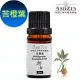 ANDZEN天然草本單方純精油10ml-苦橙葉