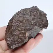 178g Chondrite Meteorite,NWA unclassified Meteorite From Northwest Africa R1218