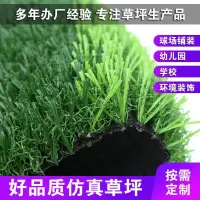 在飛比找蝦皮購物優惠-客製化-仿真草坪戶外幼稚園球場鋪裝彩虹跑道高爾夫門球專用人工