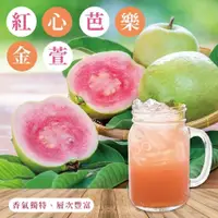 在飛比找iOPEN Mall優惠-【上野物產】紅心芭樂奶香金萱 冷泡茶包 隨身包.原葉三角茶包