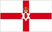 SHATCHI National Large 5'X3' Northern Ireland Hand of Ulster Premium Quality Irish Supporter Fans Decoration Flag