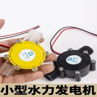 在飛比找蝦皮購物優惠-免運【大昌行】12V直流發電機小型迷微型水力發電機充電家用發