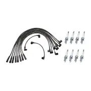 Bosch Super Sport Ignition Leads + 8 x Denso Spark Plugs for Ford LTD FD 302