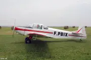 D-60 Condor Druine Light D60 Airplane Desktop Wood Model Regular Free Shipping