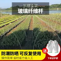 在飛比找樂天市場購物網優惠-全網最低價✅ 蔬菜棚支架 農用小拱棚支架 蔬菜溫室大棚玻璃纖