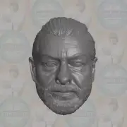 Kino Loy Andy Serkis custom head for Star Wars Andor Black Series & other figure