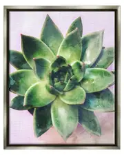 Round Succulent Plant Leaves Framed Floater Canvas Wall Art by Daphne Polselli
