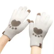 Women Gloves Touch Screen Touch Winter Knitted Gloves Snow