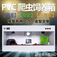 在飛比找樂天市場購物網優惠-PVC爬箱爬蟲飼養箱蜥蜴陸龜蛇寵物異寵加熱保溫箱爬寵箱定制箱