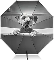 [PDZRMY] Funny Dog Bathtub UV Protection Travel Umbrella Compact for Rain and Sun - Auto Open and Close UPF 50+ Windproof Portable 46” Sun Umbrella for Women and Men
