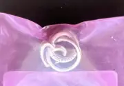 FACTORY SEALEDAuthentic Pandora TOGETHER ALWAYS Encircled Heart Charm791507C00