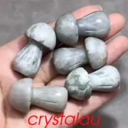 5pcs Natural lucky jade Mushroom Skull Quartz Crystal Skull reiki Healing 1.4"