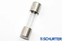 在飛比找蝦皮購物優惠-瑞士 SCHURTER 2A  250V (F快熔) FOR