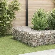 Raised Garden Bed, Elevated Planter Box Plant Container Cube Gabion Steel Wire 40x40x40 cm