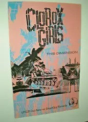 Poster - The CLOROX GIRLS this dimension PUNK ROCK / the band #