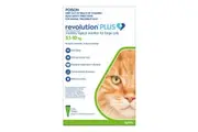 Revolution Plus for Large Cats 5 to 10 Kg (Green) 12 Pipettes