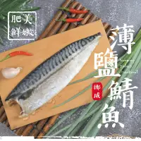 在飛比找環球Online優惠-【賣魚的家】團購熱銷挪威鯖魚片 (140/170片)-20片