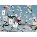 分享瓶 JO MALONE 晴空花蕾 櫻花/梅花/桂花 試香